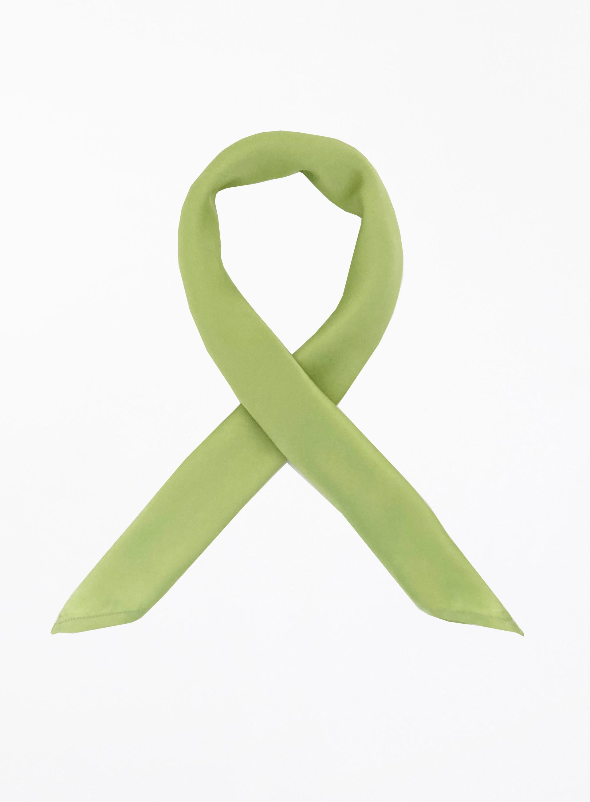 Martine Silk Square Scarf - Pistachio